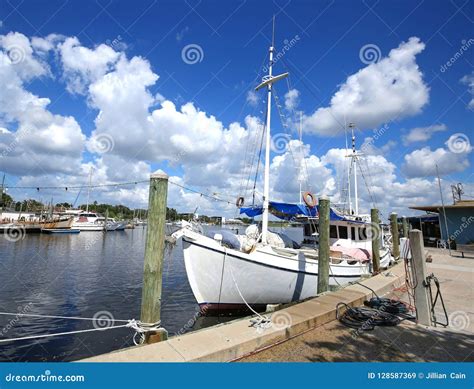 Jogo De Barcos Em Tarpon Springs Fl