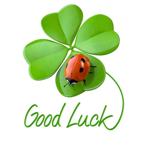 Ladybug Luck Bet365