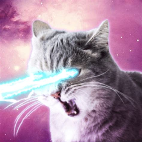 Laser Cats Brabet