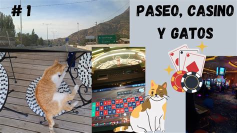Legal Gatos Casino Movel