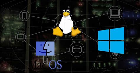 Linux Maquina De Fenda De Software