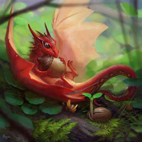 Little Dragons Betfair