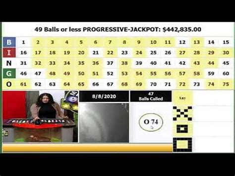 Live Bingo Casino Belize