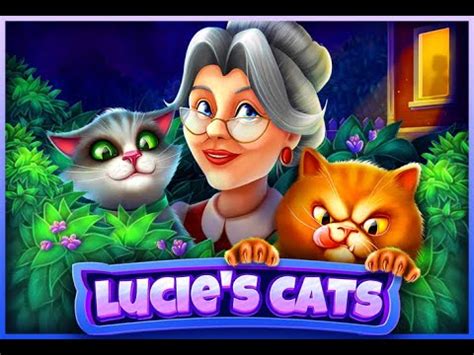 Lucie S Cats Bet365