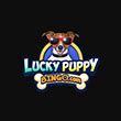 Lucky Puppy Bingo Casino Login