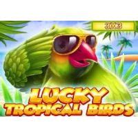 Lucky Tropical Birds 3x3 Leovegas