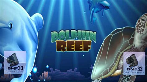 Maquina De Fenda De Dolphin Reef Download