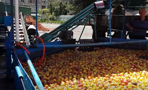 Maquina De Fenda De Fruto Online