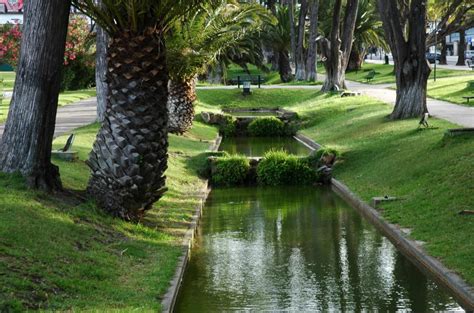 Medina Jardins Do Casino