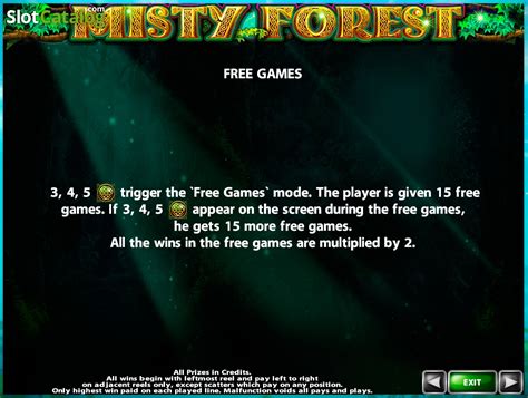 Misty Forest Review 2024