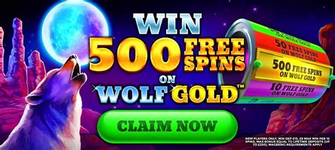 Mr  Wolf Slots Casino