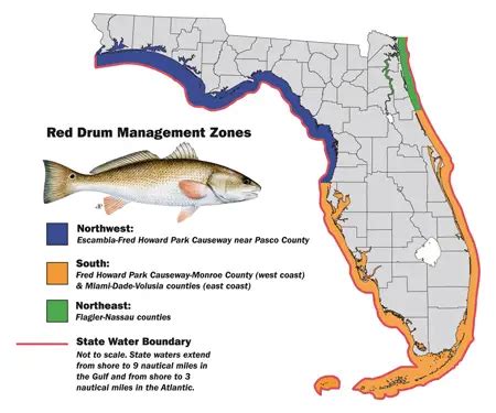 Pesca Da Florida Slot Limites