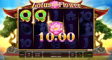 Play Lotus Slot