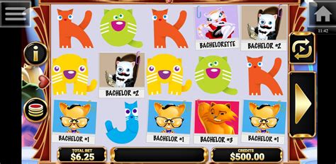 Play The Purrfect Match Slot