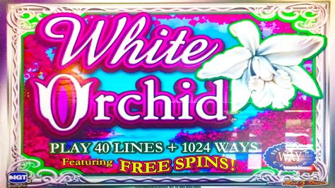 Play White Orchid Slot