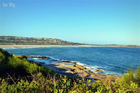 Poker Praias Do Norte De Sydney