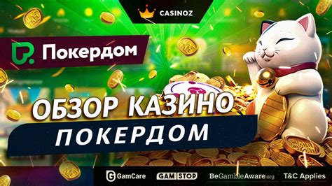Pokerdom Casino Bolivia
