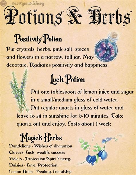 Potion Spells Novibet