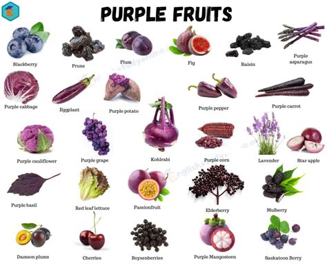 Purple Fruits Brabet