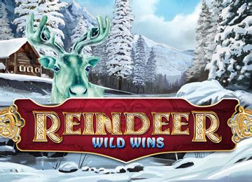 Reindeer Wild Wins Sportingbet