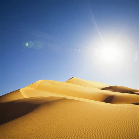 Sahara Sun Betway