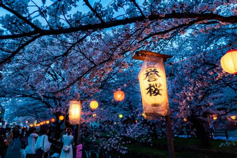 Sakura Festival De Fenda