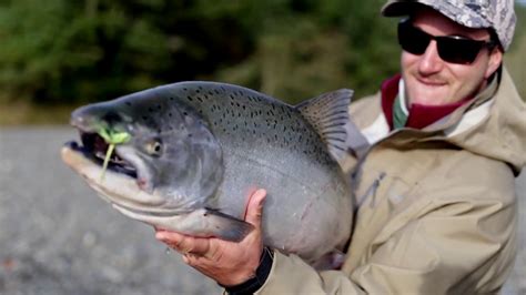 Salmon Catch Netbet