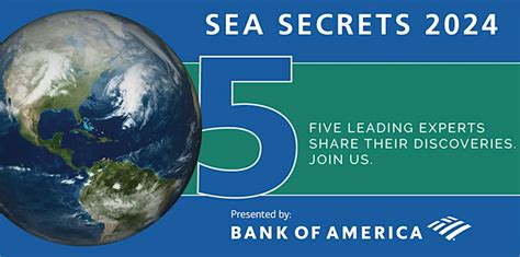 Sea Secret Review 2024