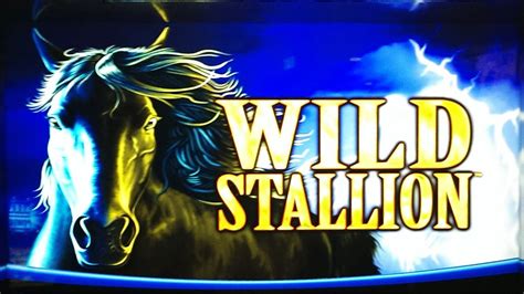 Slot Wild Stallion