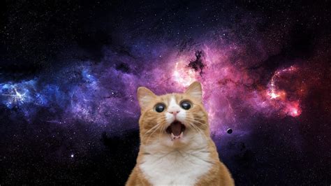 Space Cat Betsul