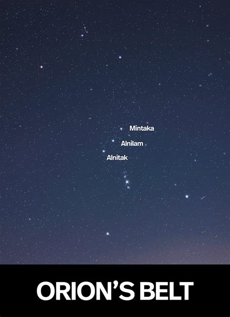 Stars Of Orion Brabet