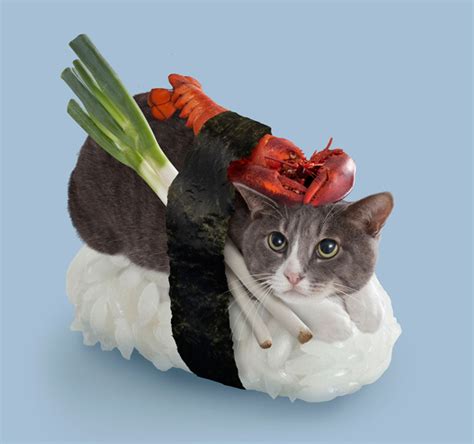 Sushi Cat Brabet