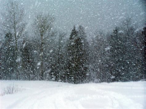 Tempestade De Neve Seca De Fenda