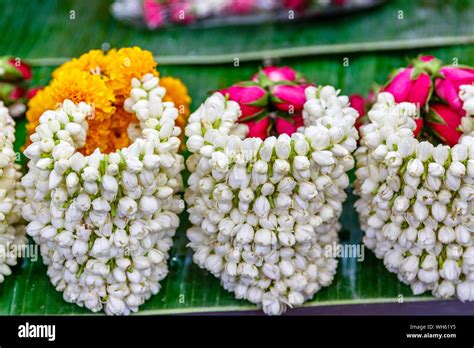 Thai Flower Sportingbet