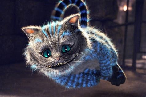 The Cheshire Cat Netbet