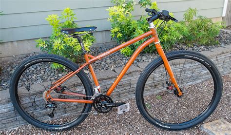 Traidor Slot 29er