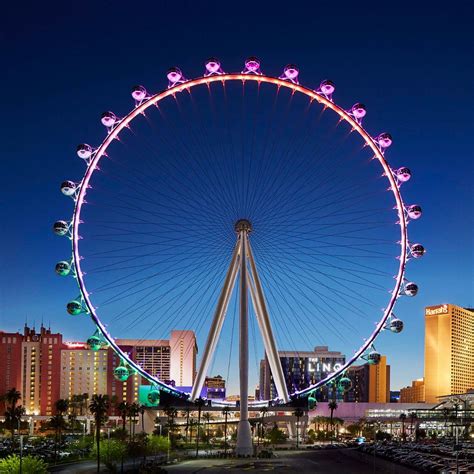 Vegas High Roller Netbet