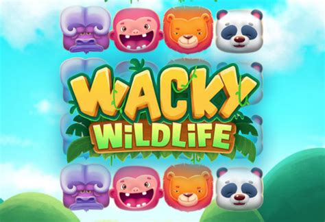 Wacky Wildlife 1xbet