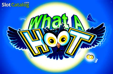What A Hoot Review 2024
