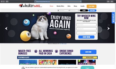 Whisker Wins Casino