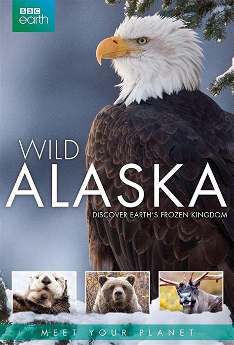 Wild Alaska Parimatch