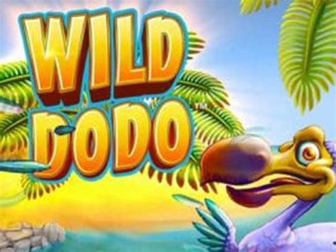 Wild Dodo Betano