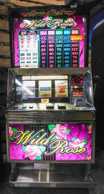 Wild Rose Slots De Casino