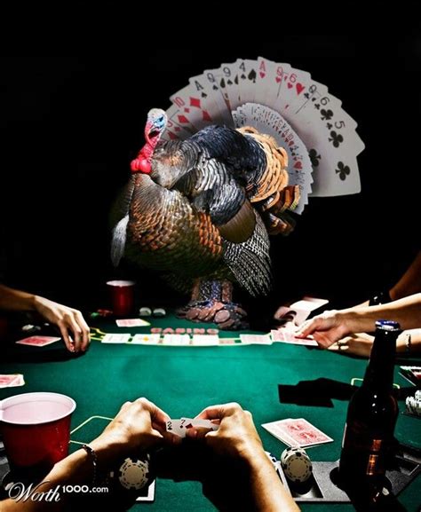 Wild Turkey Mesa De Poker