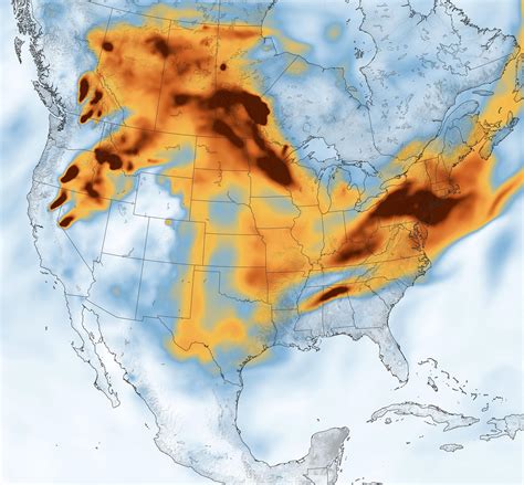 Wild Weather Review 2024