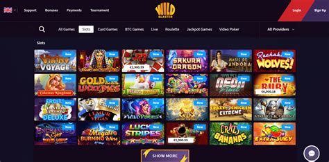 Wildblaster Casino Bonus