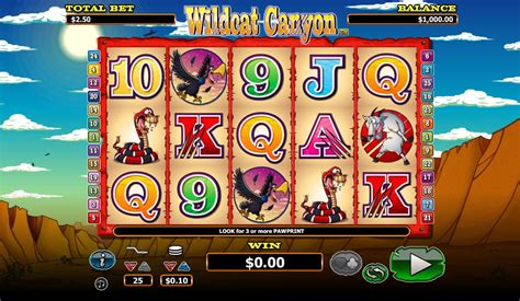 Wildcat Canyon Slot - Play Online