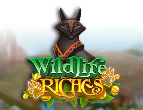 Wildlife Riches Review 2024