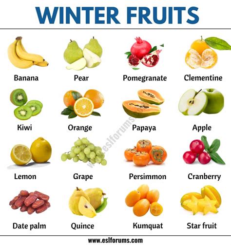 Winter Fruits Bodog