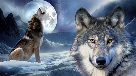 Wolf Moon 2 Betsul